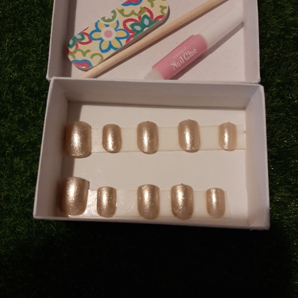 No refund the classic champagne nails